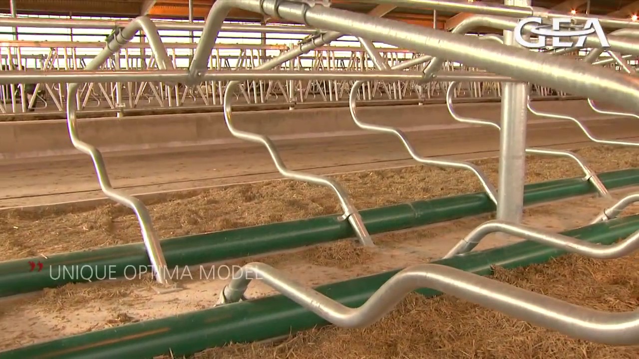 GEA Dairy Farming - 2-D Optima ligboxafscheiding - MCN Drachten