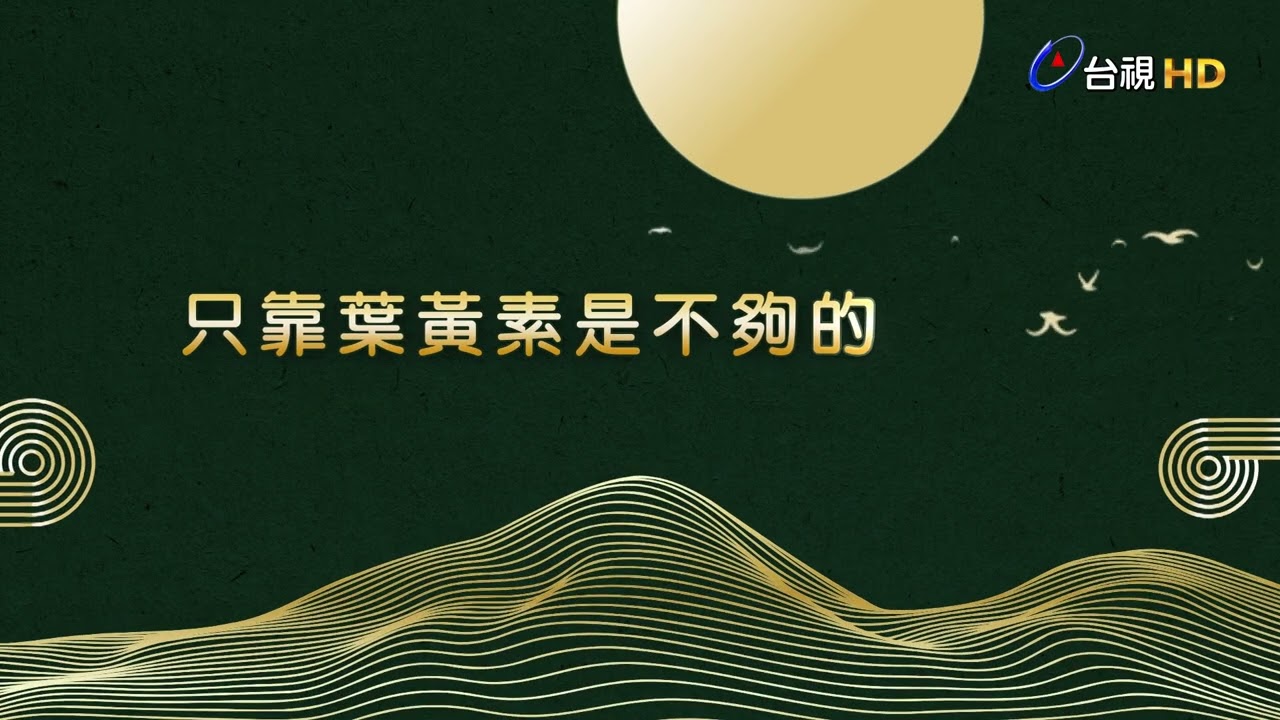只靠葉黃素是不夠的，你需要攢竹飲