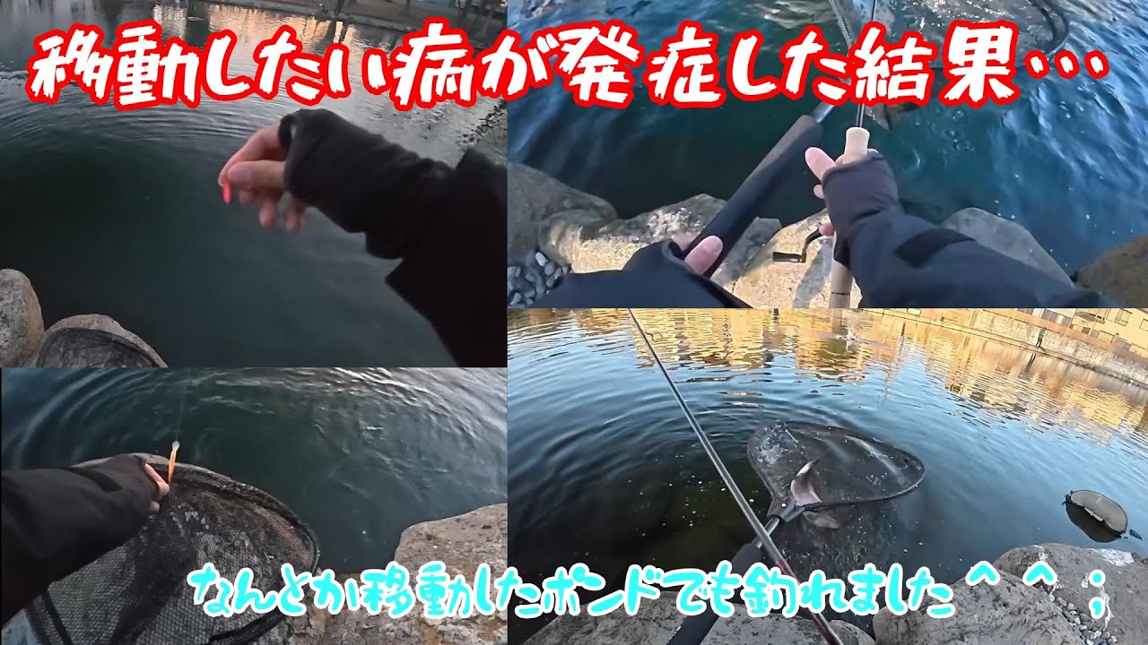 【朝霞ガーデン】１月１７日釣行記録【エリアトラウト】