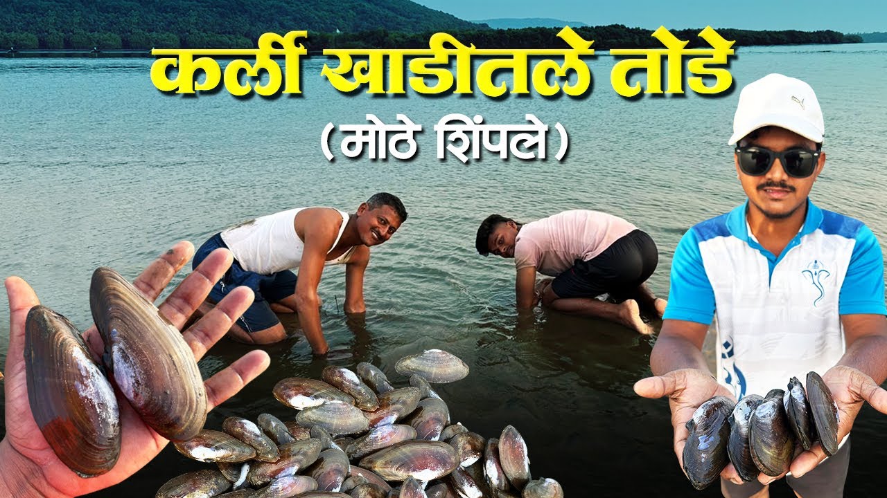 तारकर्लीच्या खाडीतील 