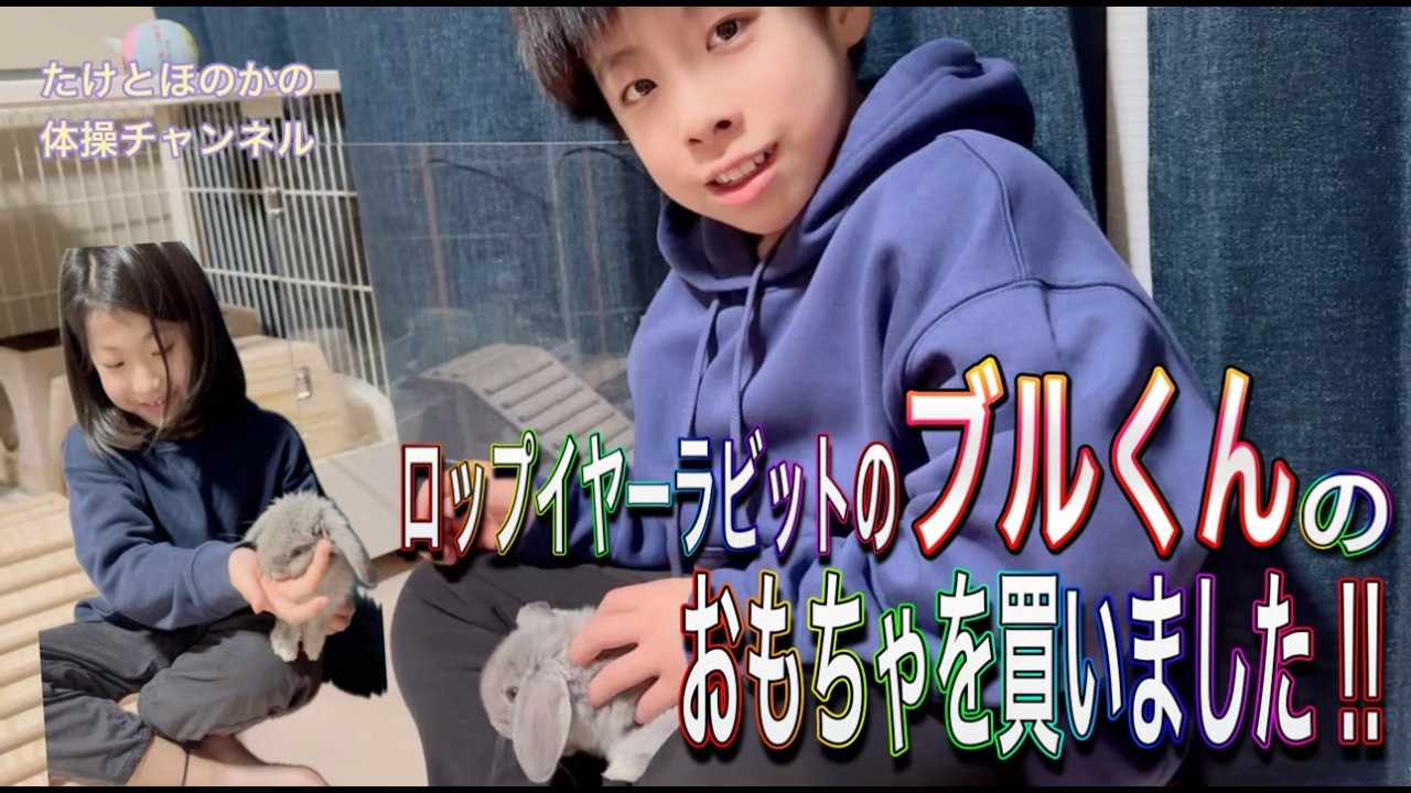 ジュニア体操選手たけとほのかの家族、ロップイヤーラビットのブルくんの遊びスペースが広くなったよ。
