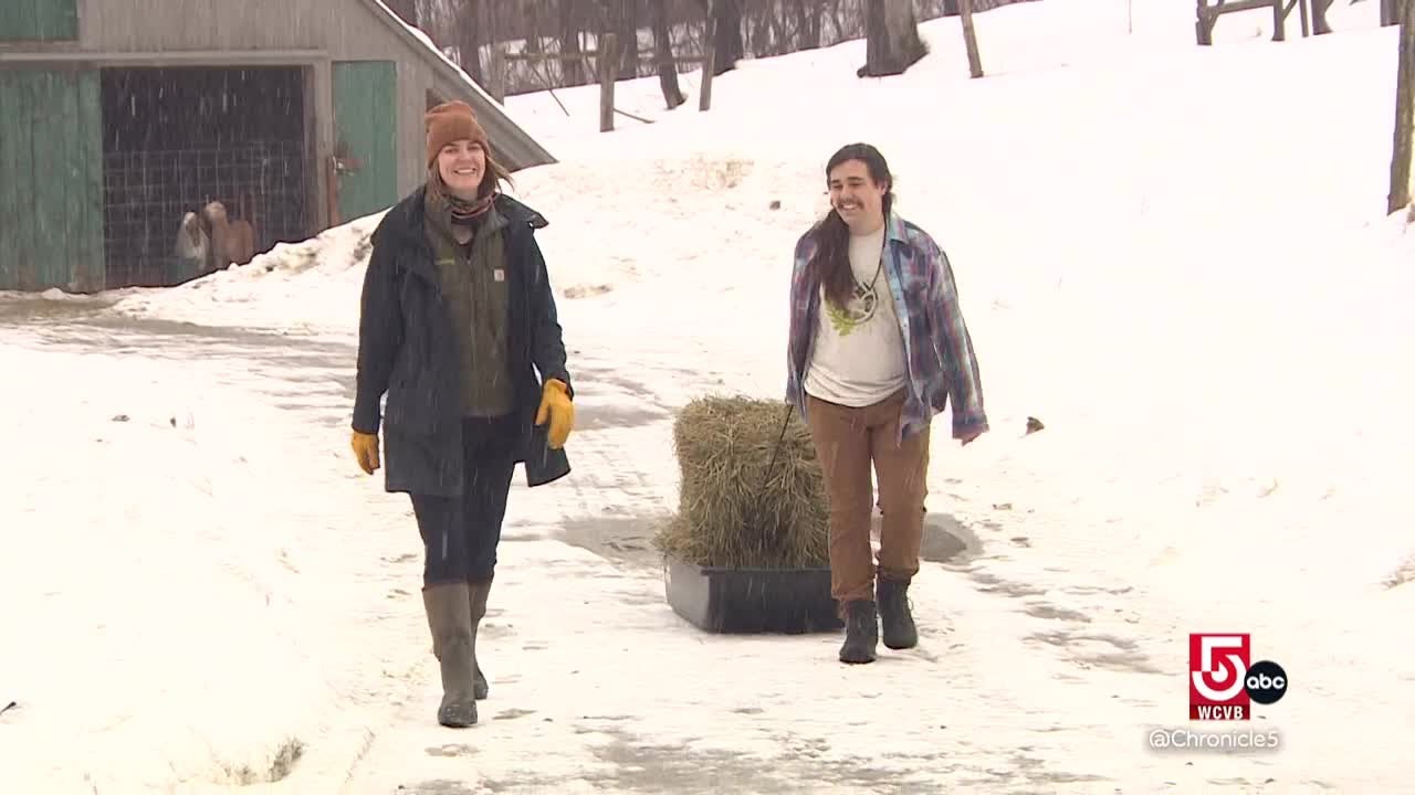 Sterling College in Craftsbury, Vermont, immerses students in local environment