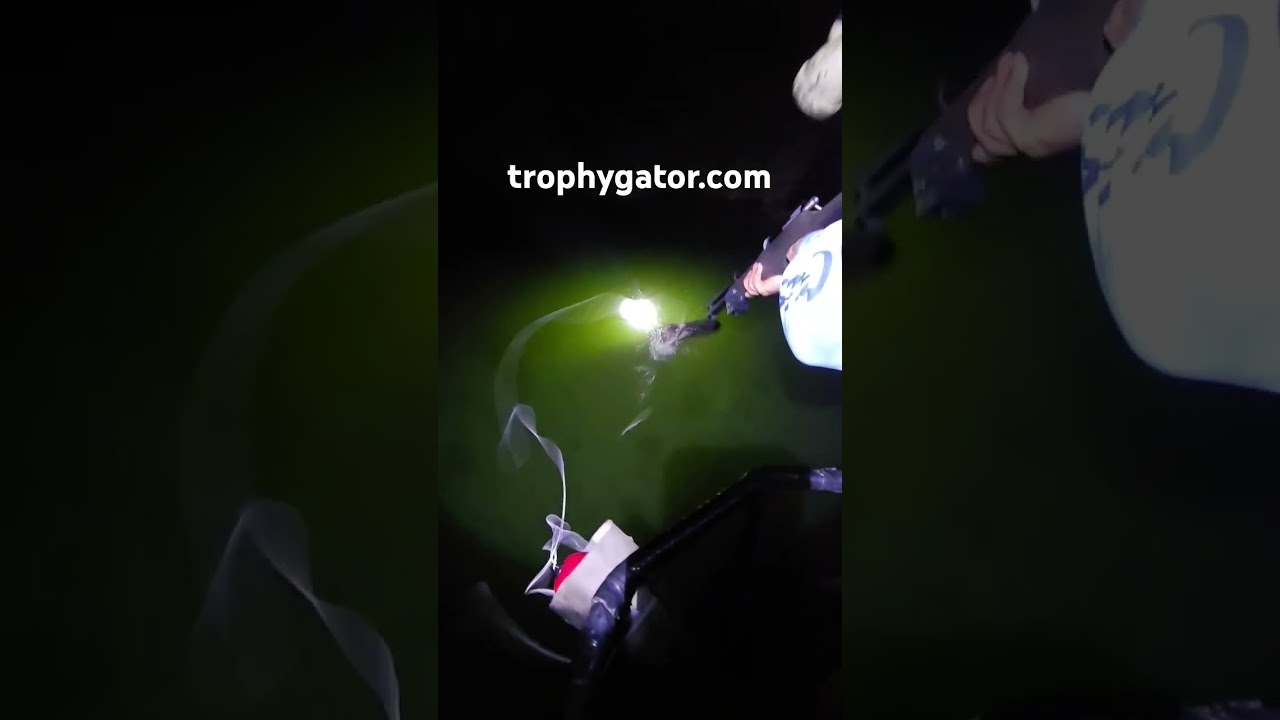 This evening, we tested a new air bow and plan to introduce an additional hunt package shortly