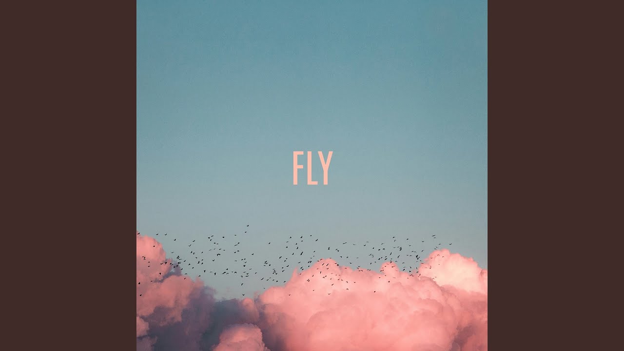Fly