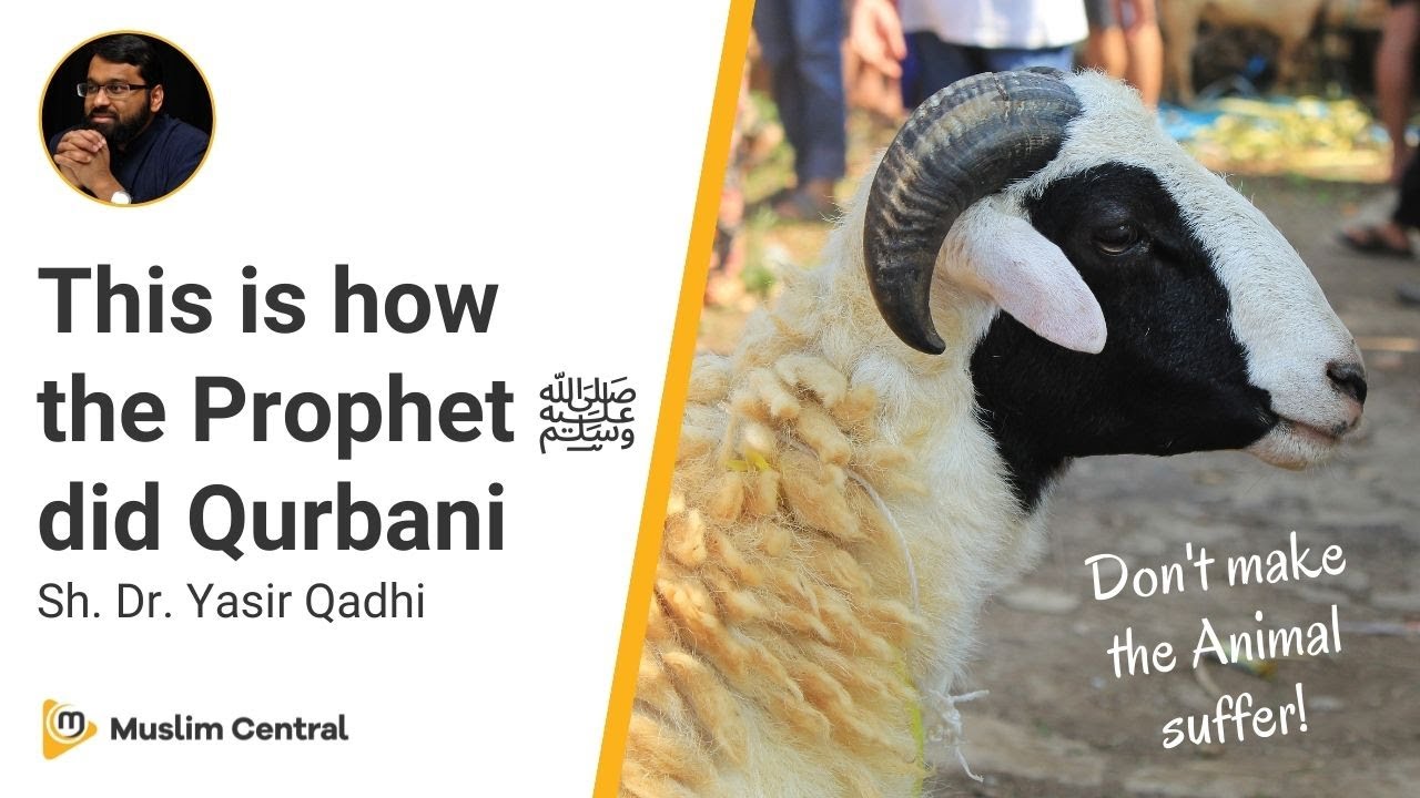 Don't Make the Animal Suffer | Important Sunnahs of Qurbani | Halal Slaughter - Sh. Dr. Yasir Qadhi