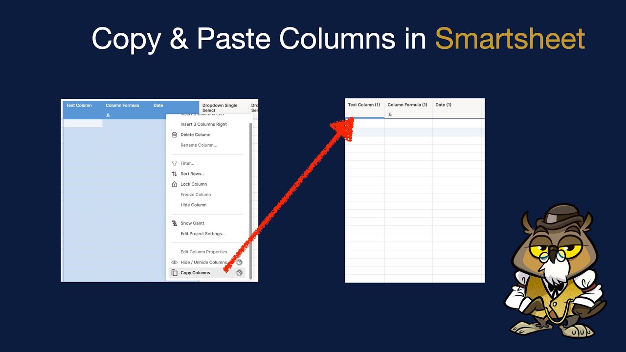 Smartsheet Copy Columns with Settings and Paste to Another Sheet or the Same Sheet