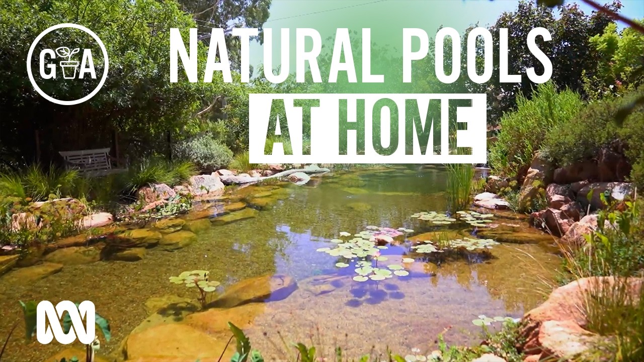 Benefits of Natural Pools | Discovery | Gardening Australia