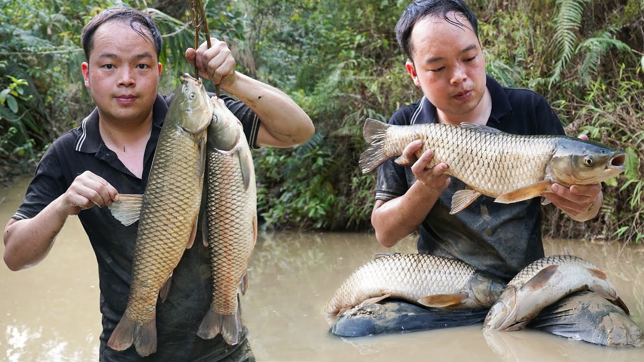 Discovered the school of fish, caught giant fish to make nutritious food for Pigs, Chickens, Ducks