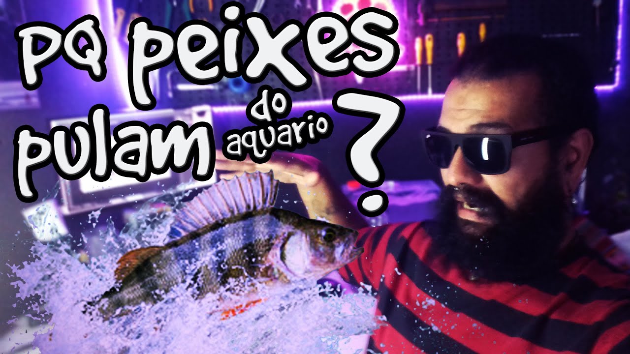 Porque peixes pulam do aquário? // PET HOBBY