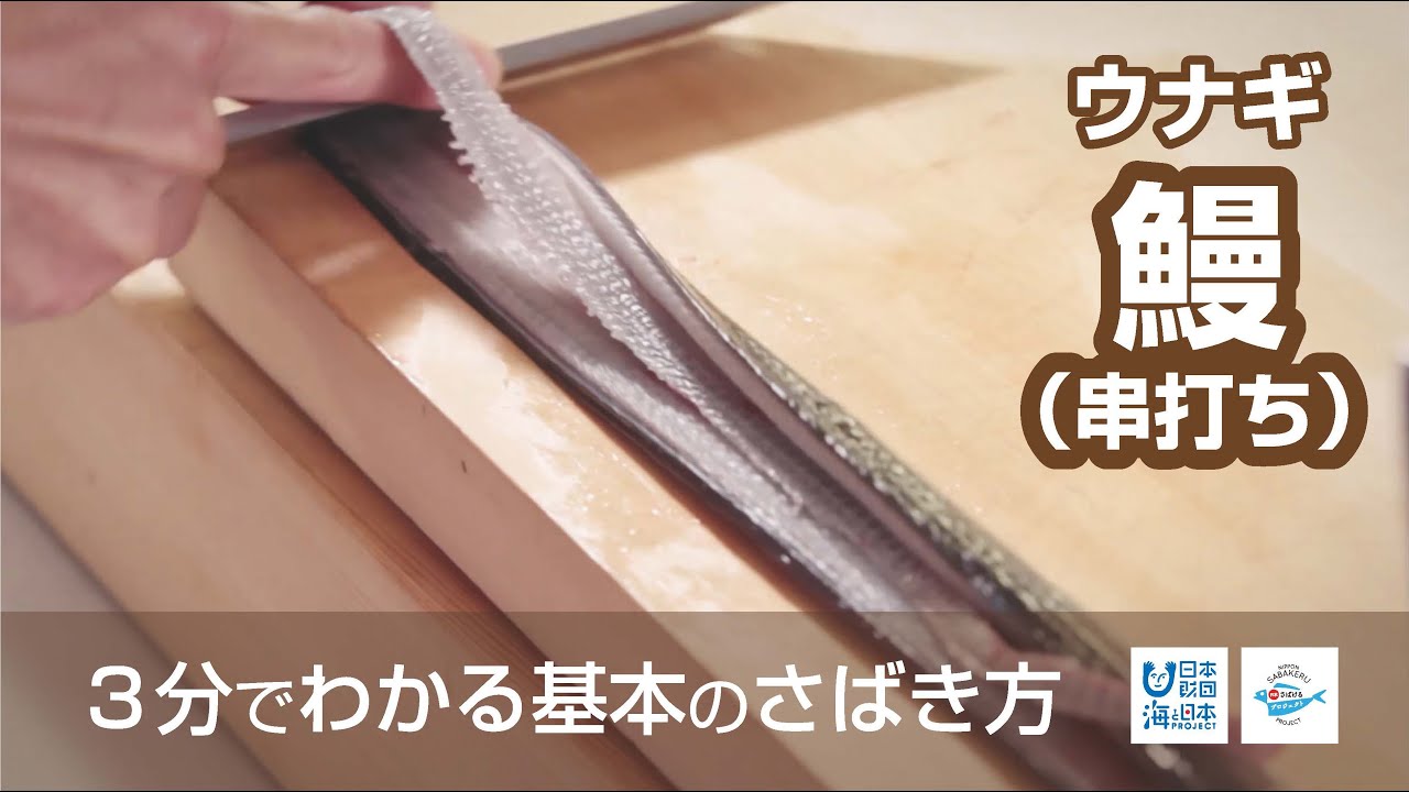 鰻（うなぎ）のさばき方：串打ち - How to filet Japanese Eel ver. Kushi-uchi -｜日本さばけるプロジェクト（海と日本プロジェクト）