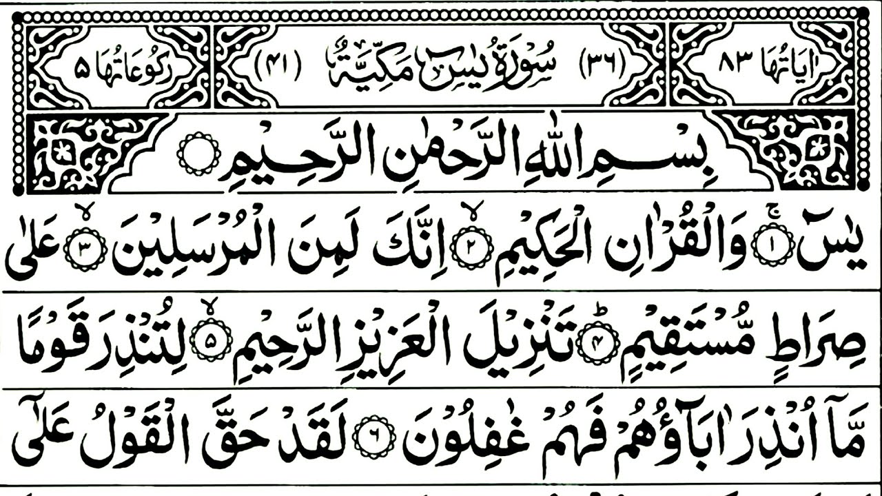 Surah Yaseen Full | Surah Rahman, Mulk, Morning wazifa, Ayatul Kursi | By The Quranic Attraction 562