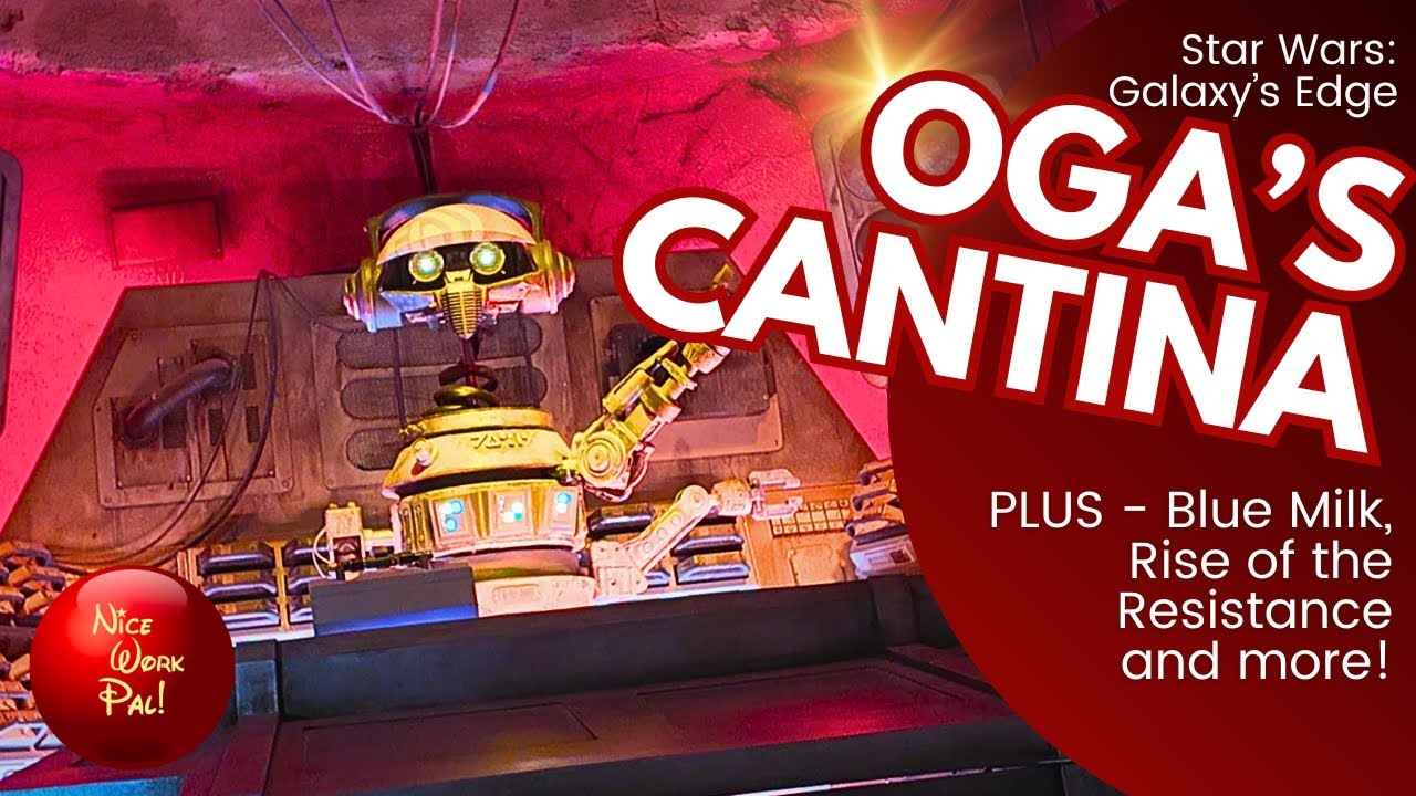 Oga's Cantina - Star Wars: Galaxy's Edge in Disney's Hollywood Studios