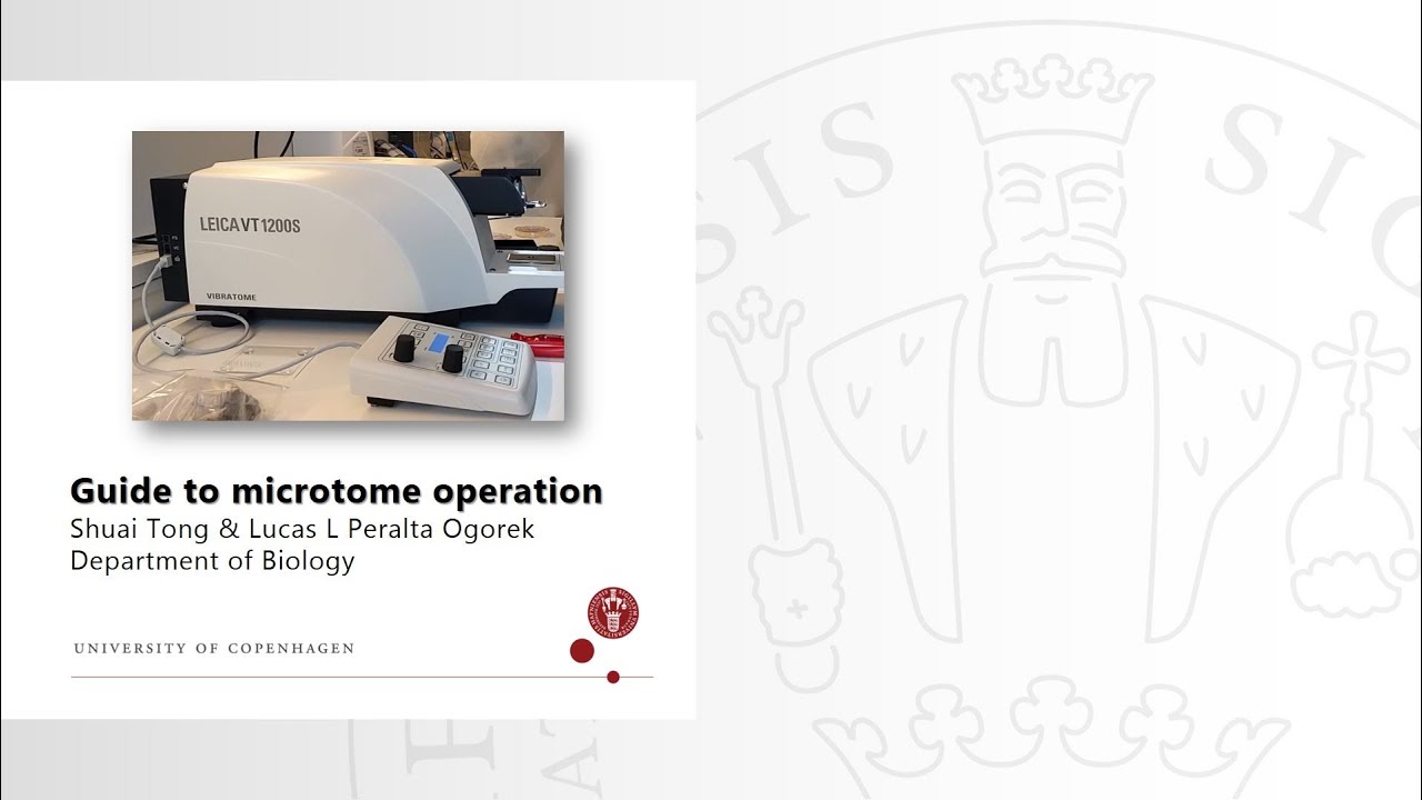 Operation of the Leica VT 1200S vibrating microtome