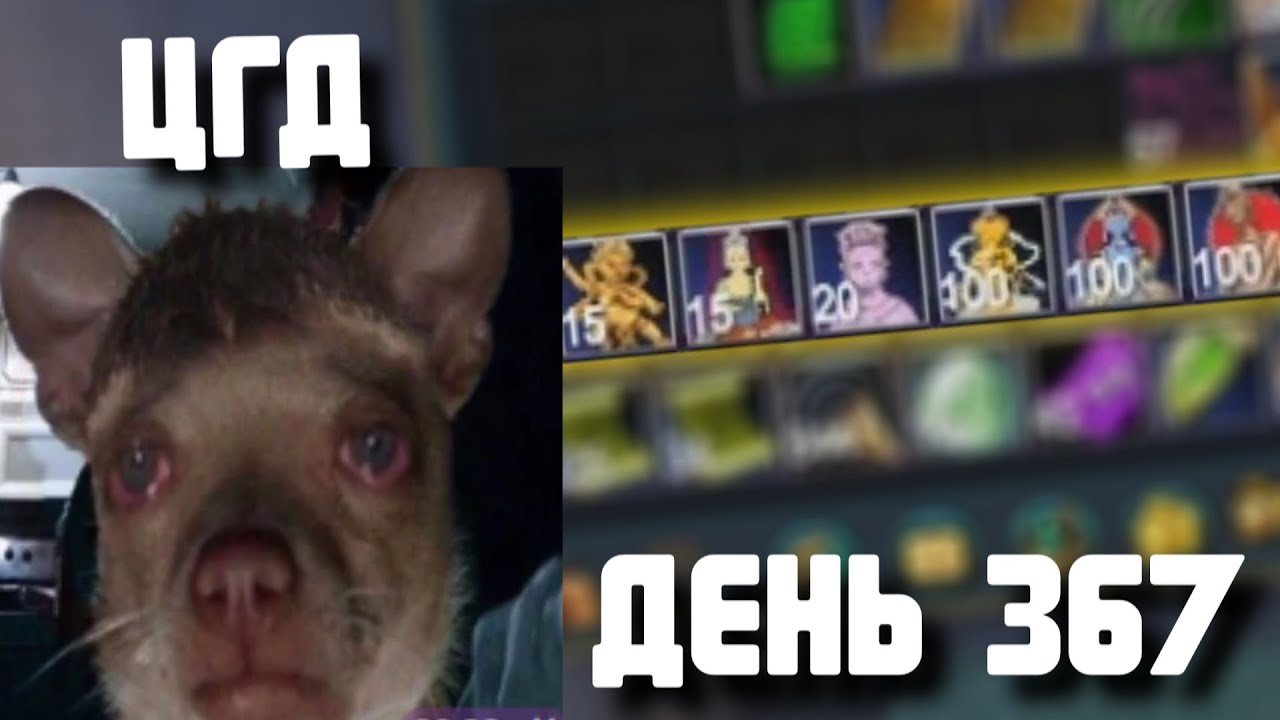 СОБИРАЕМ ЦГД на ШАМАНА