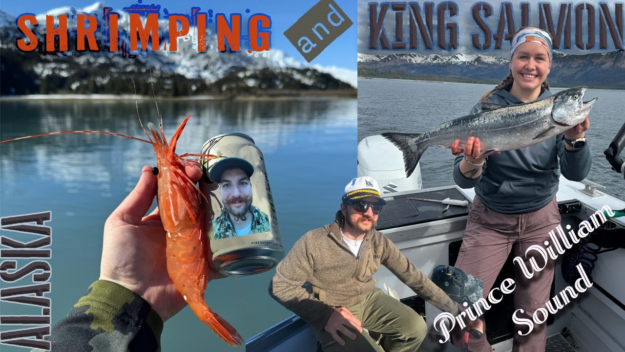 Shrimping & King Salmon Fishing | ALASKA | Prince William Sound | 2025