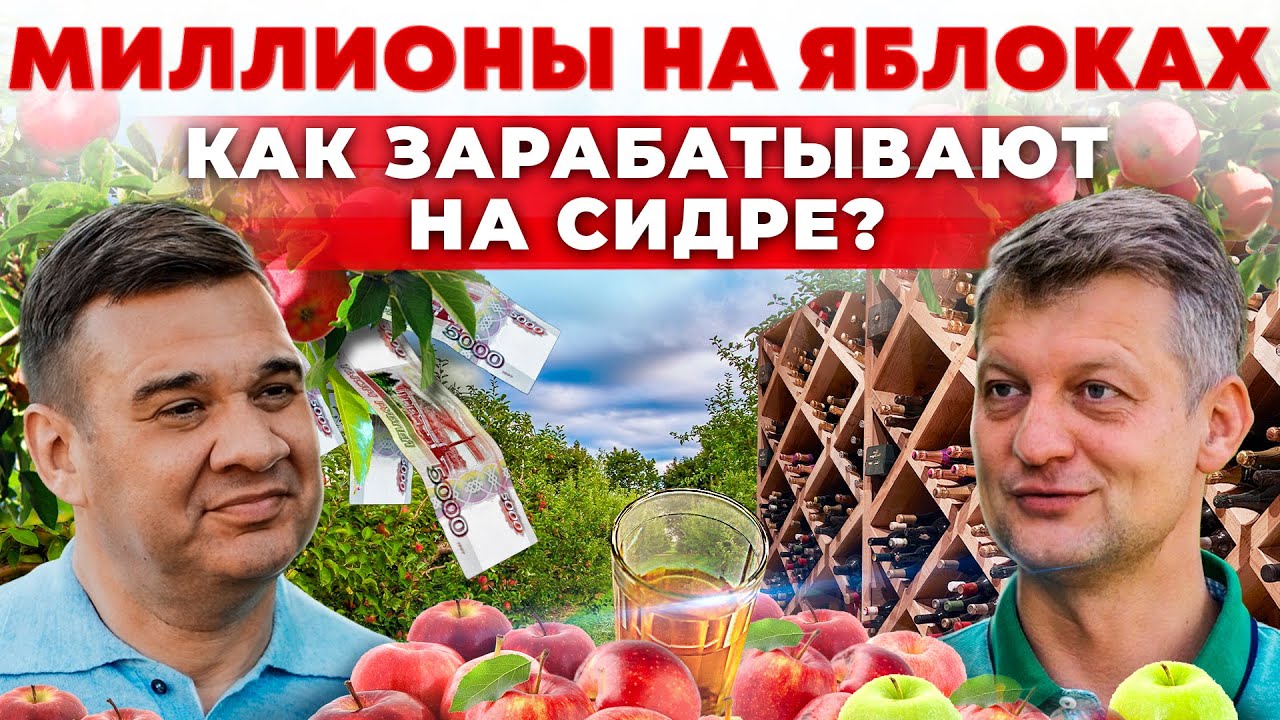 Сколько денег приносит сидр? Бизнес на яблоках | Как делают сидр | Андрей Даниленко