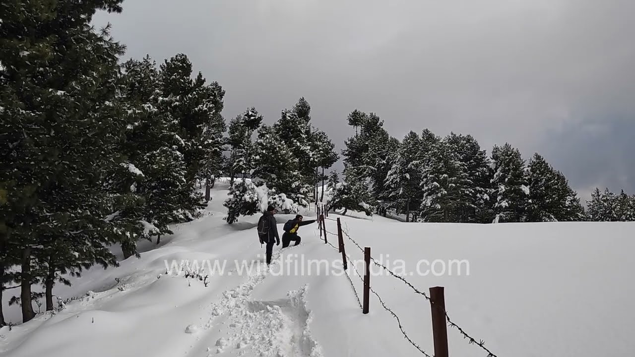 Trekking through Snow at Dara Harwan Kashmir Great Lakes Trek Start Point