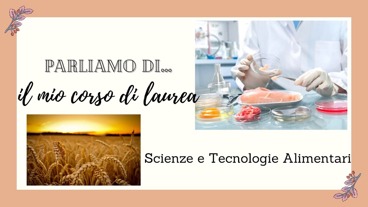 TECNOLOGO ALIMENTARE: laurea e sbocchi lavorativi + la mia esperienza