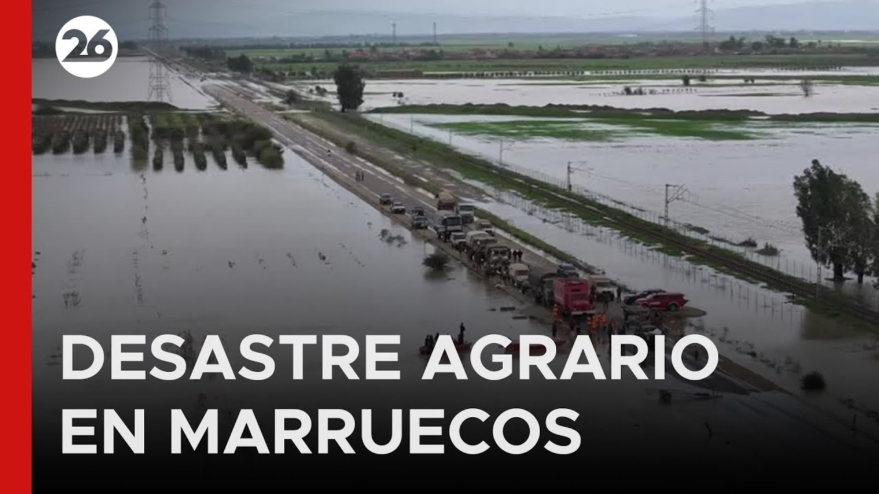 🇲🇦 INUNDACIONES | Agricultores perdieron todo tras las fuertes lluvias en Marruecos