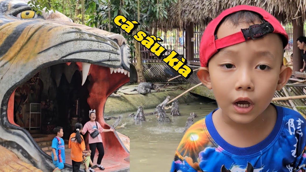 Bắp báo đại náo vườn cá sấu