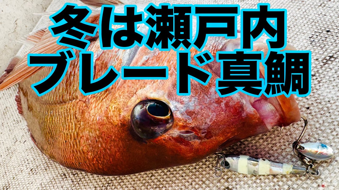 真冬の瀬戸内真鯛はジグが効く これはもはや爺