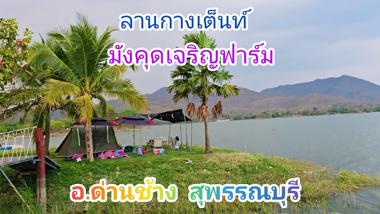 พาชมลานกางเต็นท์#มังคุดเจริญฟาร์ม อ.ด่านช้าง จ.สุพรรณบุรี