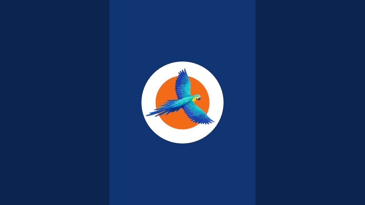 Exotic Tail is live with Rainbow Budgies Baby