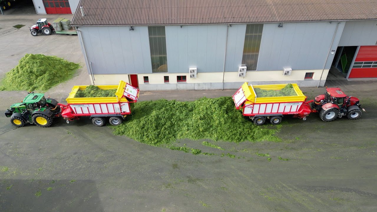 B&uuml;rli Trocknungsanlage Grasernte vom Feld bis zur Produktion