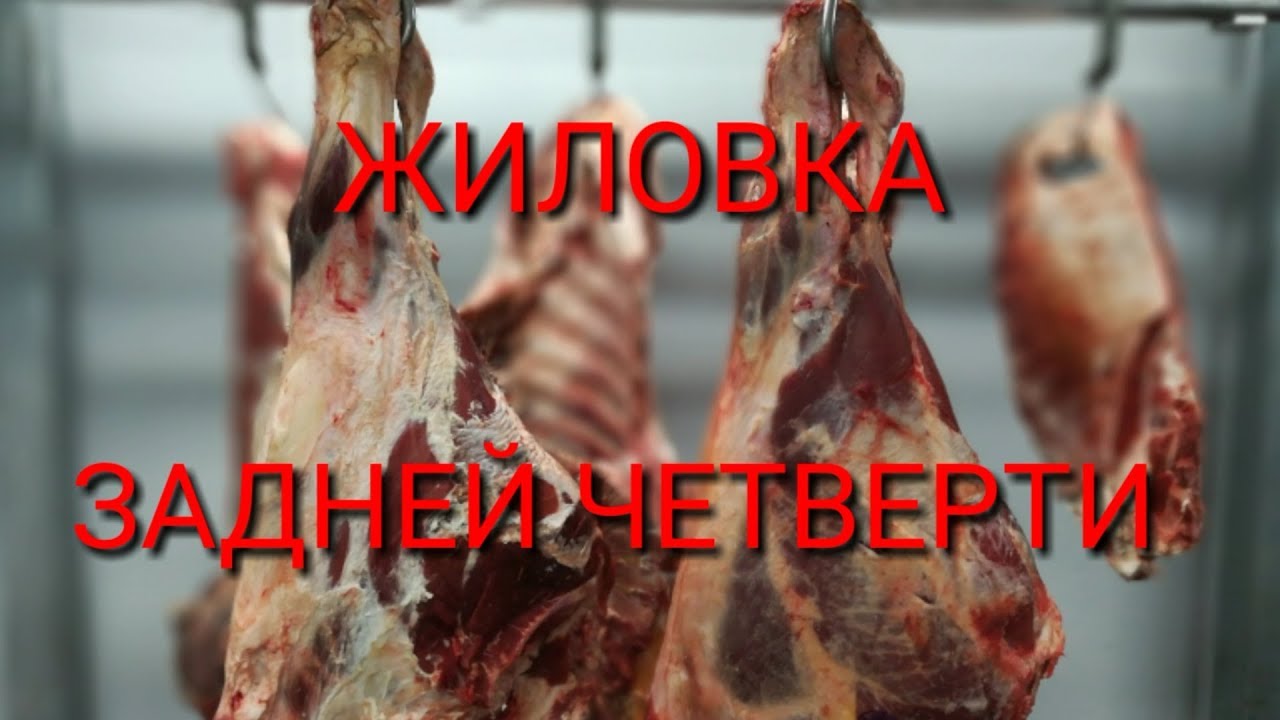 Обвалка говядины! ЧАСТЬ 2-АЯ! Жиловка задней четверти!!!