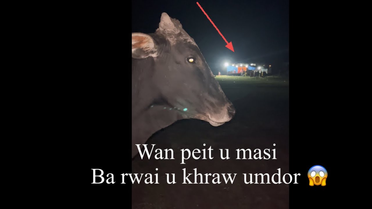 Peit wan peit Kai ki masi ba wan rwai u Khraw umdor ka jing pyn sngew lyngngoh bha ia ki pait bah 😱