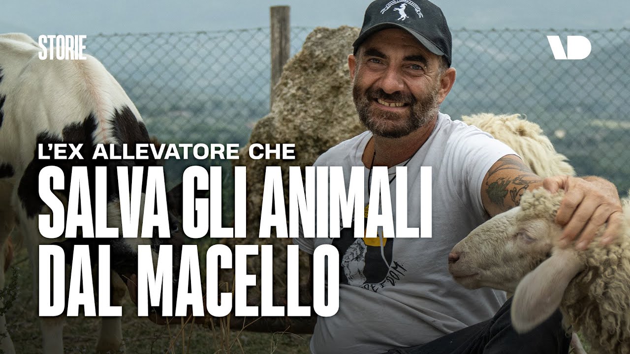 Capra Libera Tutti, il santuario che salva animali destinati al macello
