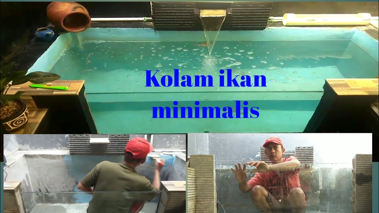 Membuat kolam ikan kaca minimalis di samping saung