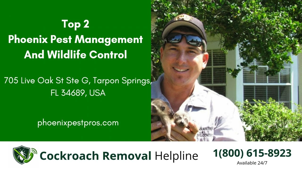 Top 3 Pest Control in Beacon Square