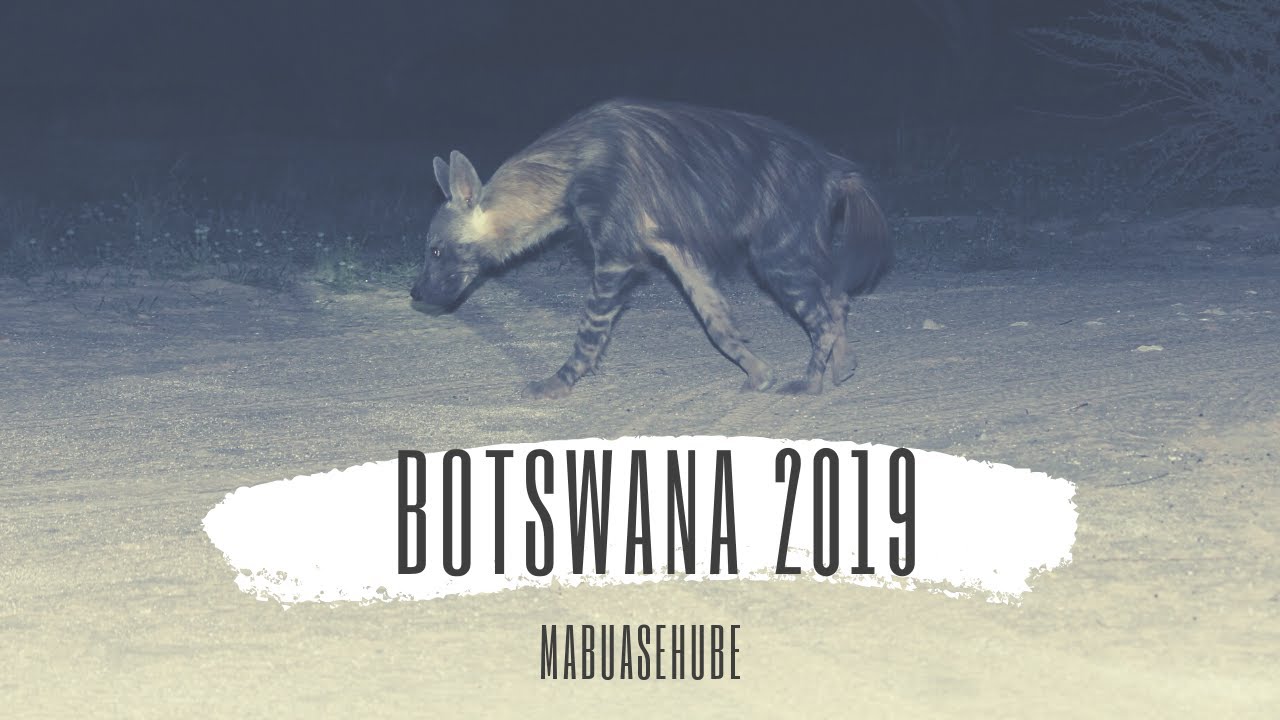 Botswana 2019 Part 2   Mabuasehube Camping and Sightings