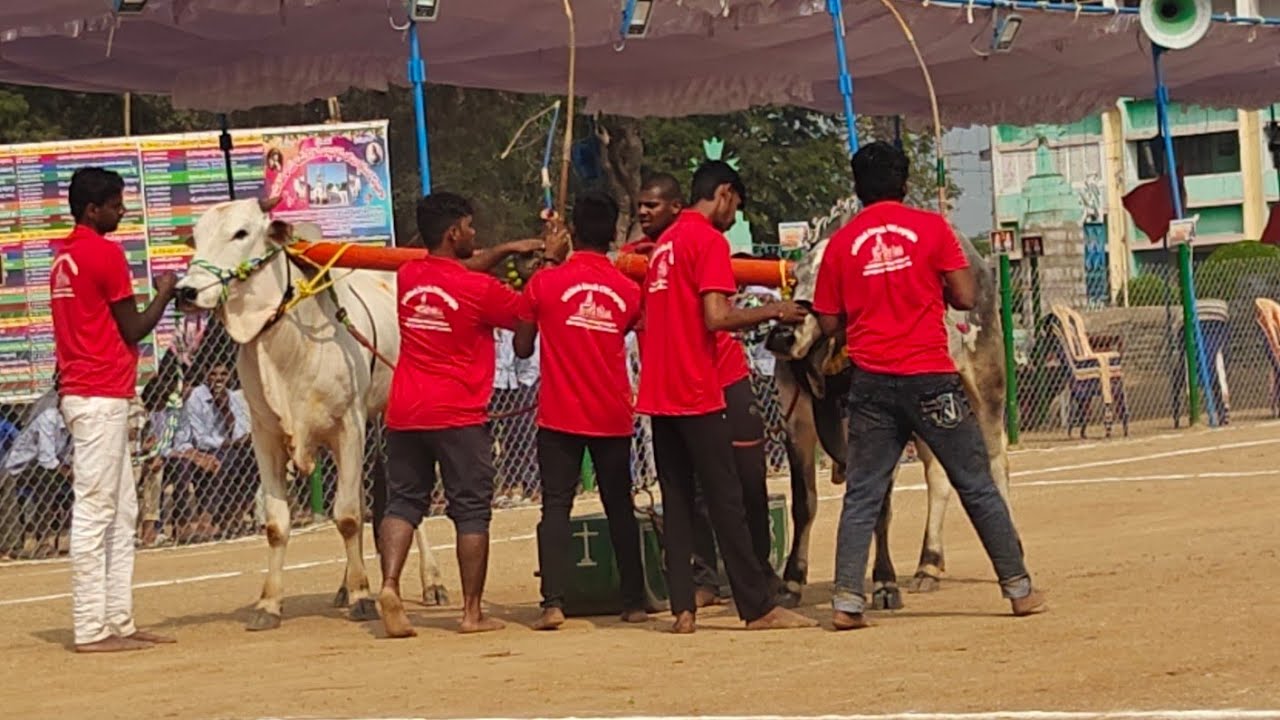రెంటచింతల 2 పళ్ళు 1వ