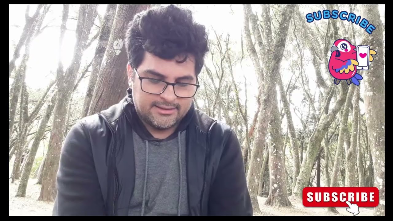 COMO É MORAR EM ARAUCÁRIA PARANÁ EM 2025? SABIA QUE EM ARAUCÁRIA O TRANSPORTE É UM REAL APENAS??