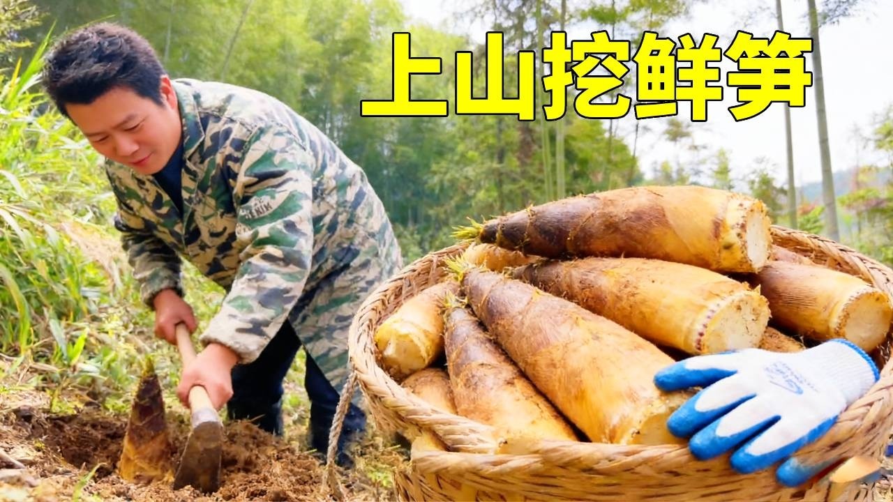 上山挖笋满载而归，就等媳妇露一手，菜还没上先夸爆！#我的乡村生活