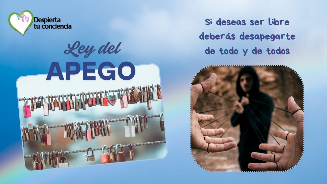 Ley del apego