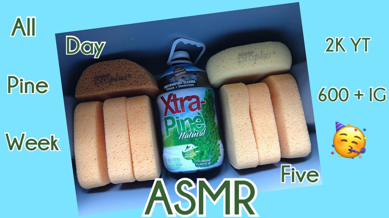 🌲ASMR (Day Five) All Pine Week Sudsy Sponge Squeezing (2K YT & 600 + IG Followers Celebration)🌲
