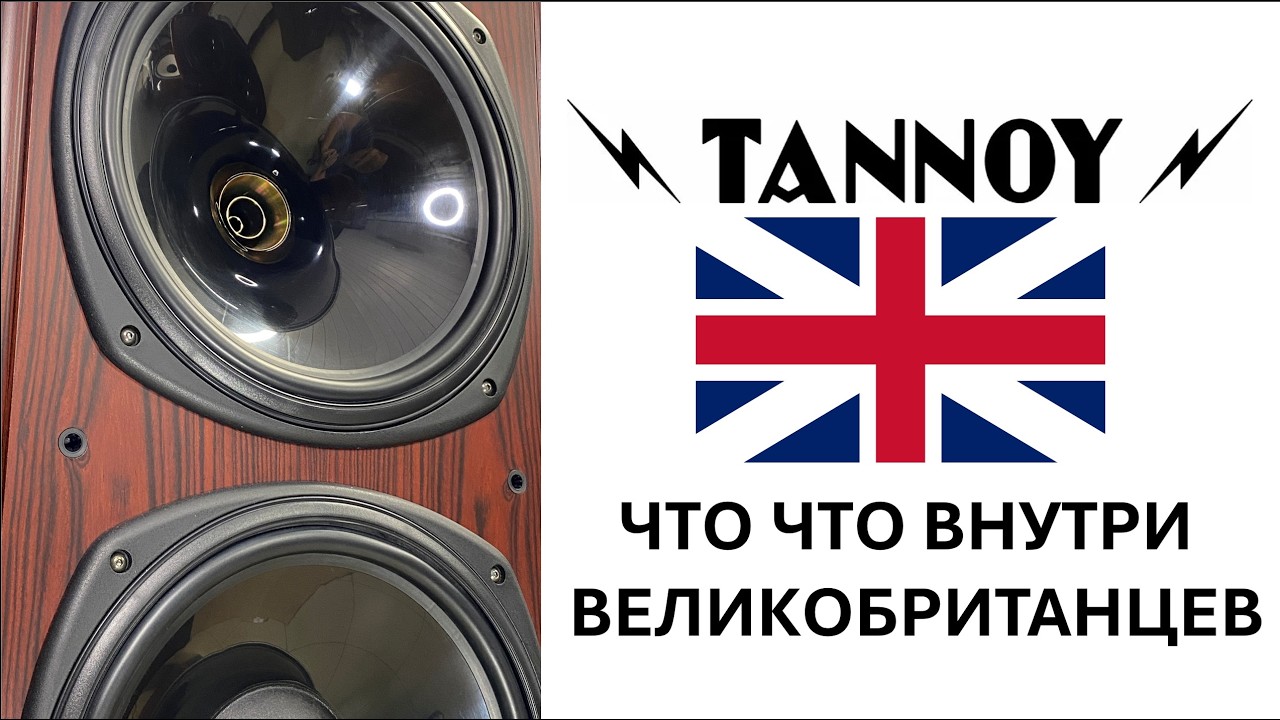 Tannoy D900 обзор, разбор, апгрейд