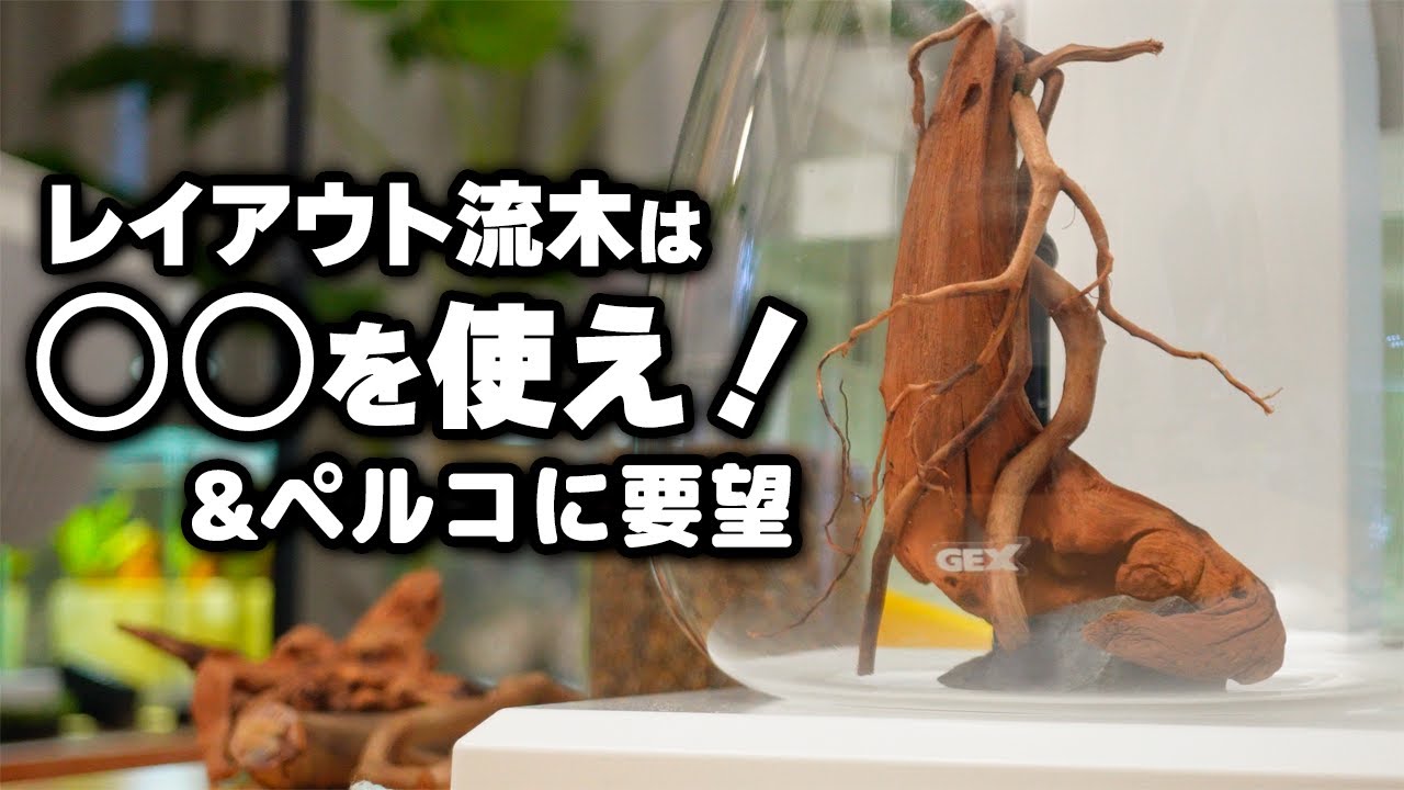 ボトルアクアにピッタリのオリジナル流木を自作してみた #小型水槽 #アクアリウム #熱帯魚 #ぺる子 【ビバアクア】