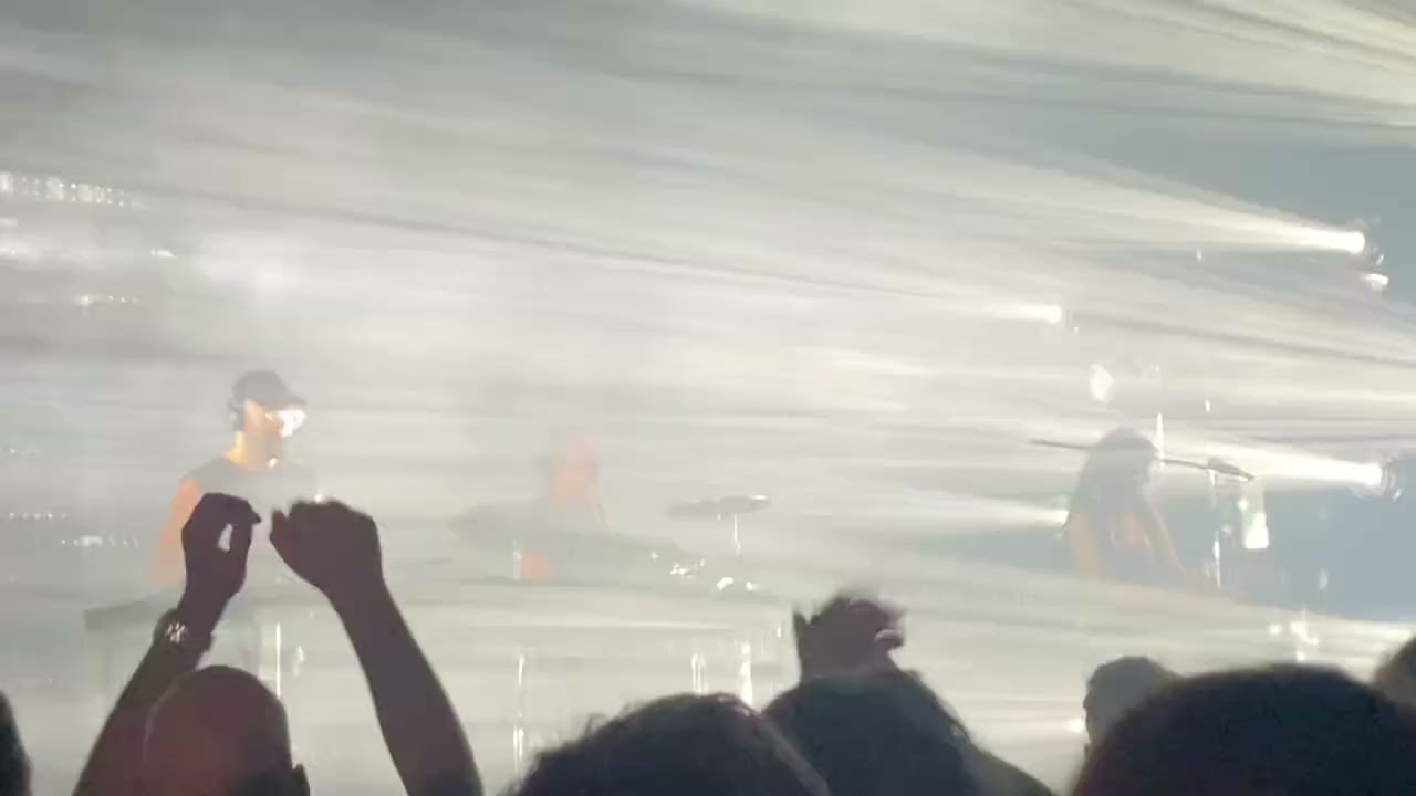 Hvob -dogs live in Paris 2025-
