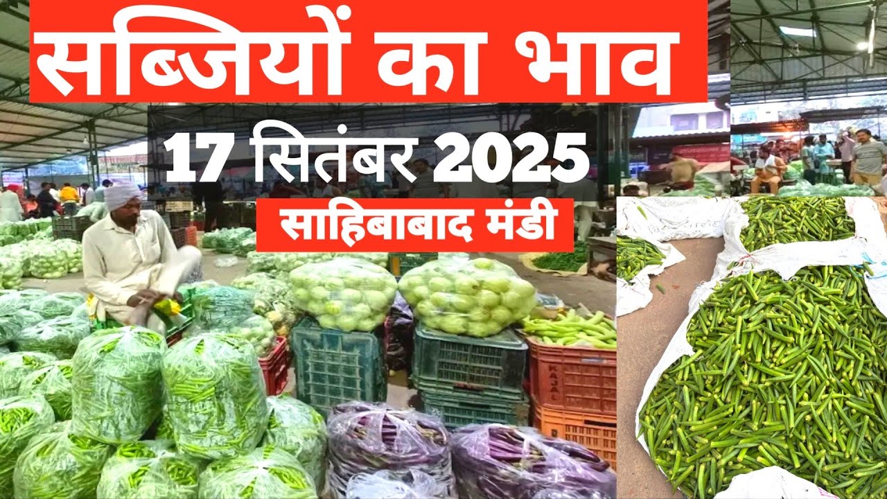 17 September 2025 🫑🥒🥦सब्जियों के भाव साहिबाबाद मंडी | today vegitables ratse #vegetablerates 