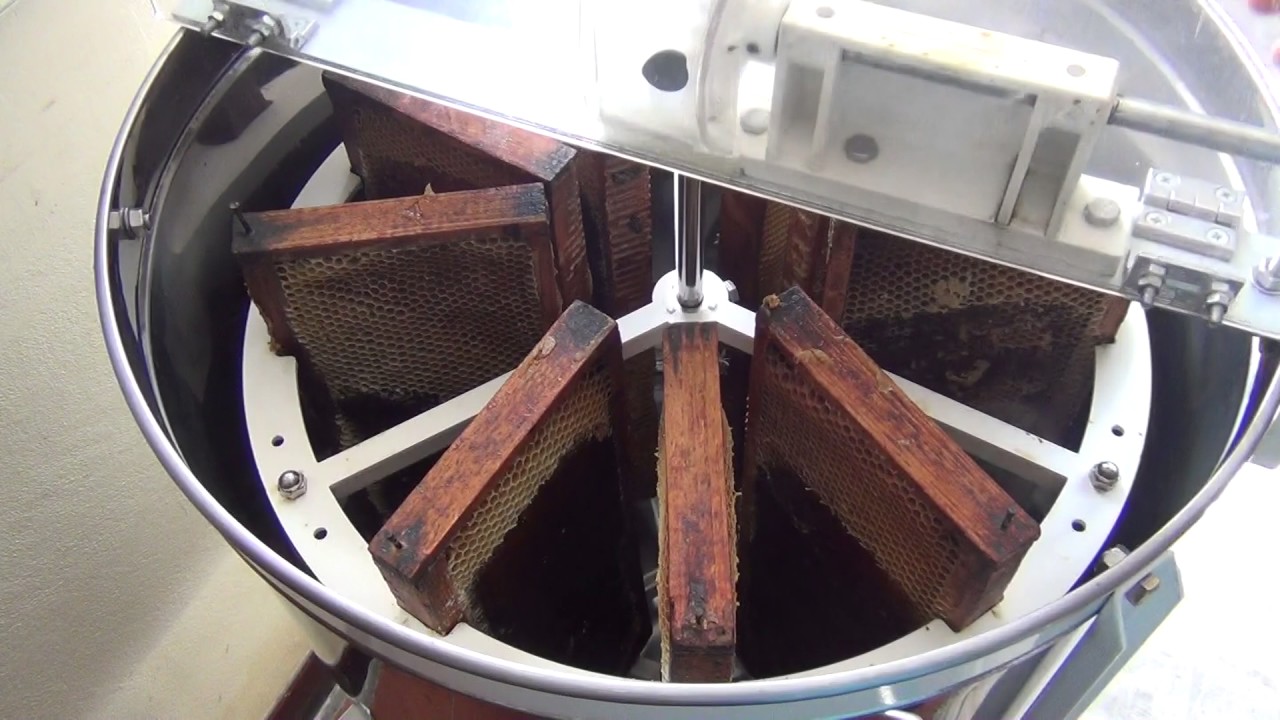 APICULTURE 2017: extraction du miel et mise en pot