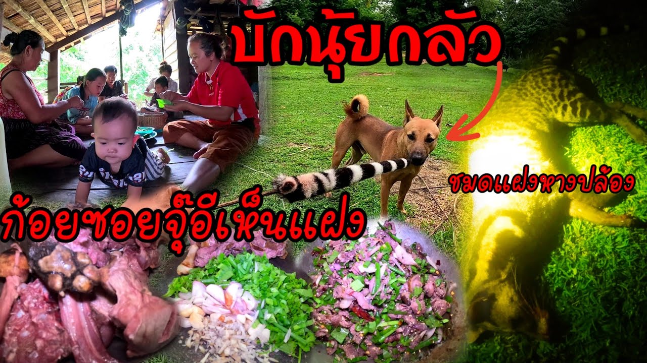 ก้อยซอยจุ๊/ກ້ອຍຊອຍຈຸ໊