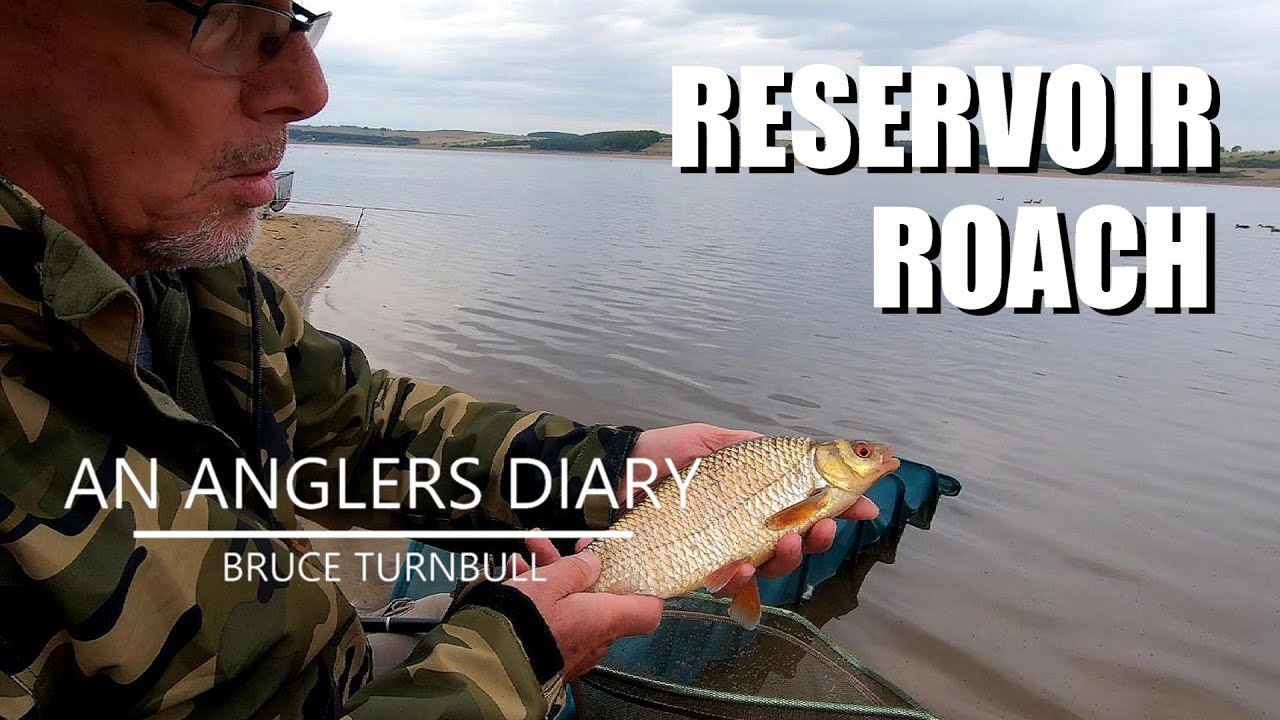 An Anglers Diary with A Moment in Time Channel - Chapter 83 - Roach Fishing
