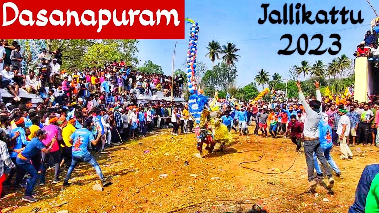Dasanapuram (தாசனபுரம்) Jallikattu - Dasanapuram Jallikattu Festival - Dasanapuram Jallikattu 2023