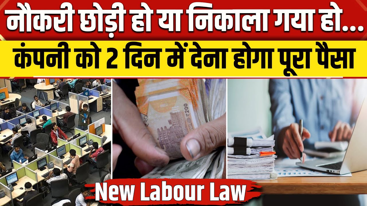 New Labour Law: नौकरी छोड़ने के कितने दिनों बाद होगा Full and Final Settlement?, जानिए | NBT