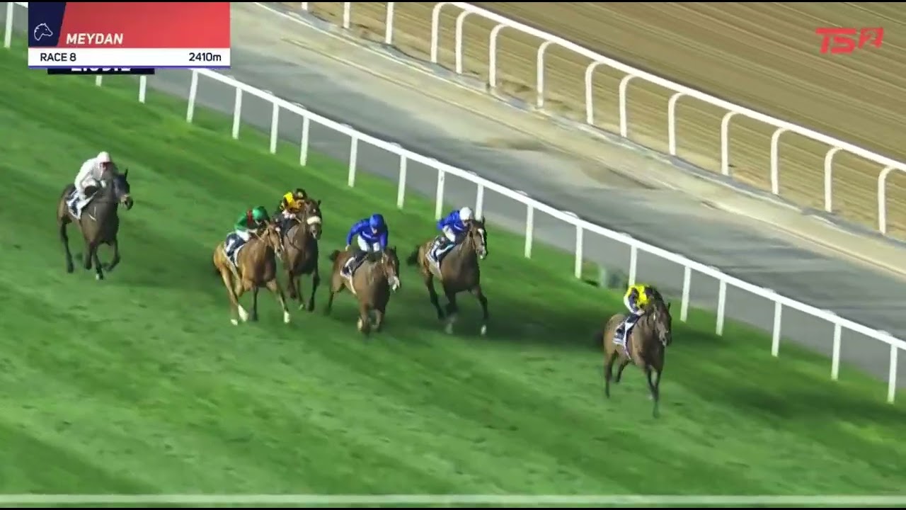 КАЛАНДАГАН (ЛОШАДЬ С САМЫМ ВЫСОКИМ РЕЙТИНГОМ В МИРЕ) | DUBAI SHEEMA CLASSIC GROUP 1 2026