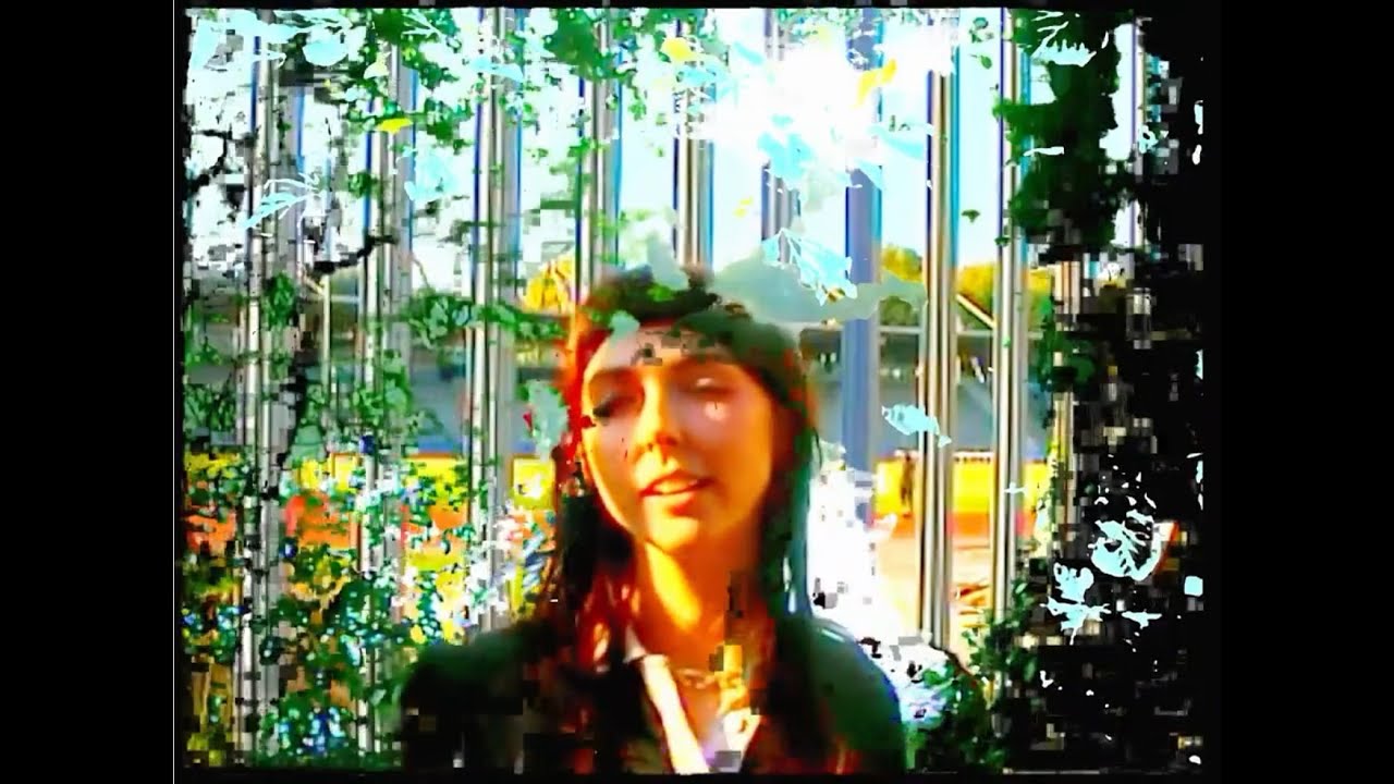Blood Wizard - BEE STING (Official Video)